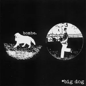Pochette de Big dog